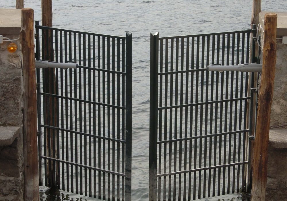 Cancelle e Cancelletti in ferro (3)